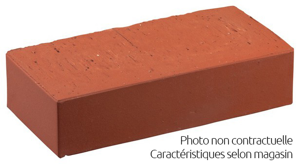 Brique de construction pleine 20cm x 6cm x 10cm
